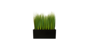 Prairie Grass Planter Box