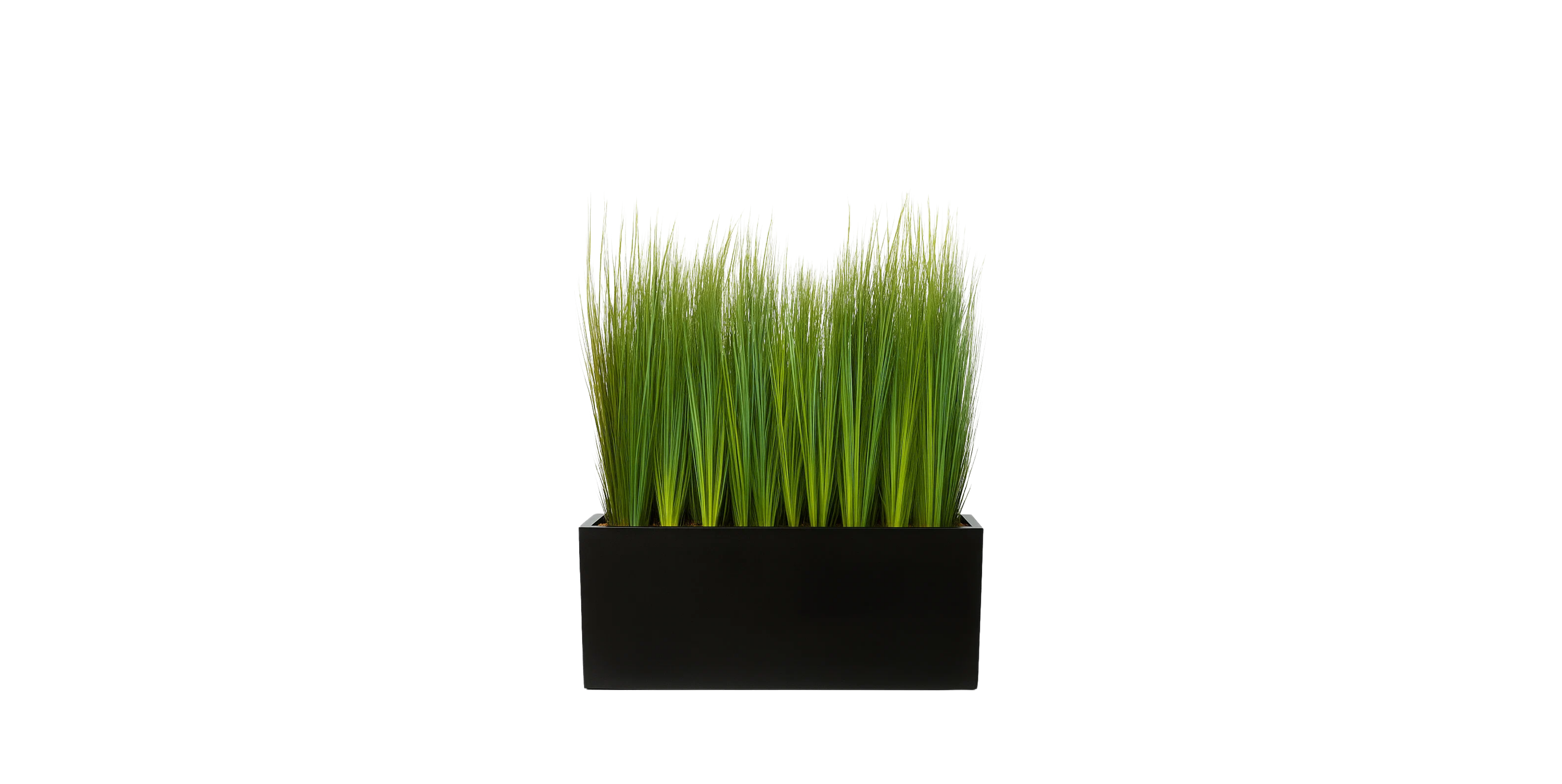 Prairie Grass Planter Box