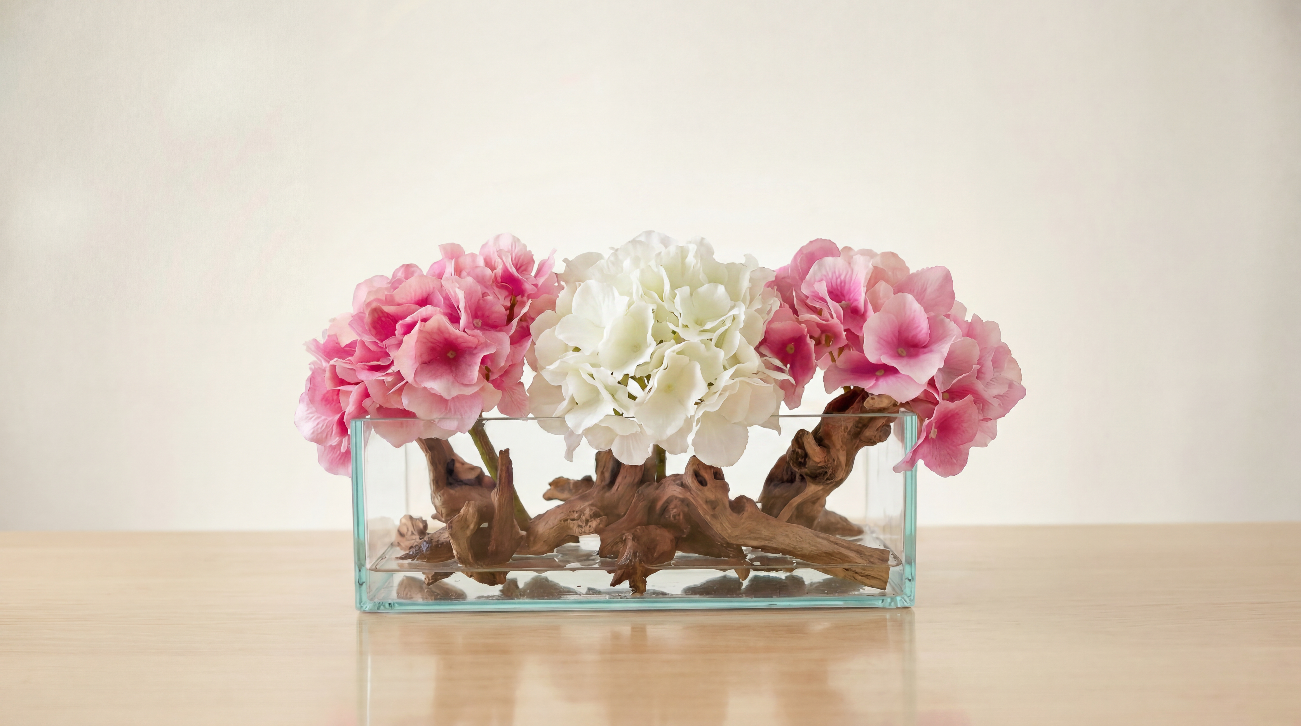 Hydrangeas X Mopani Driftwood